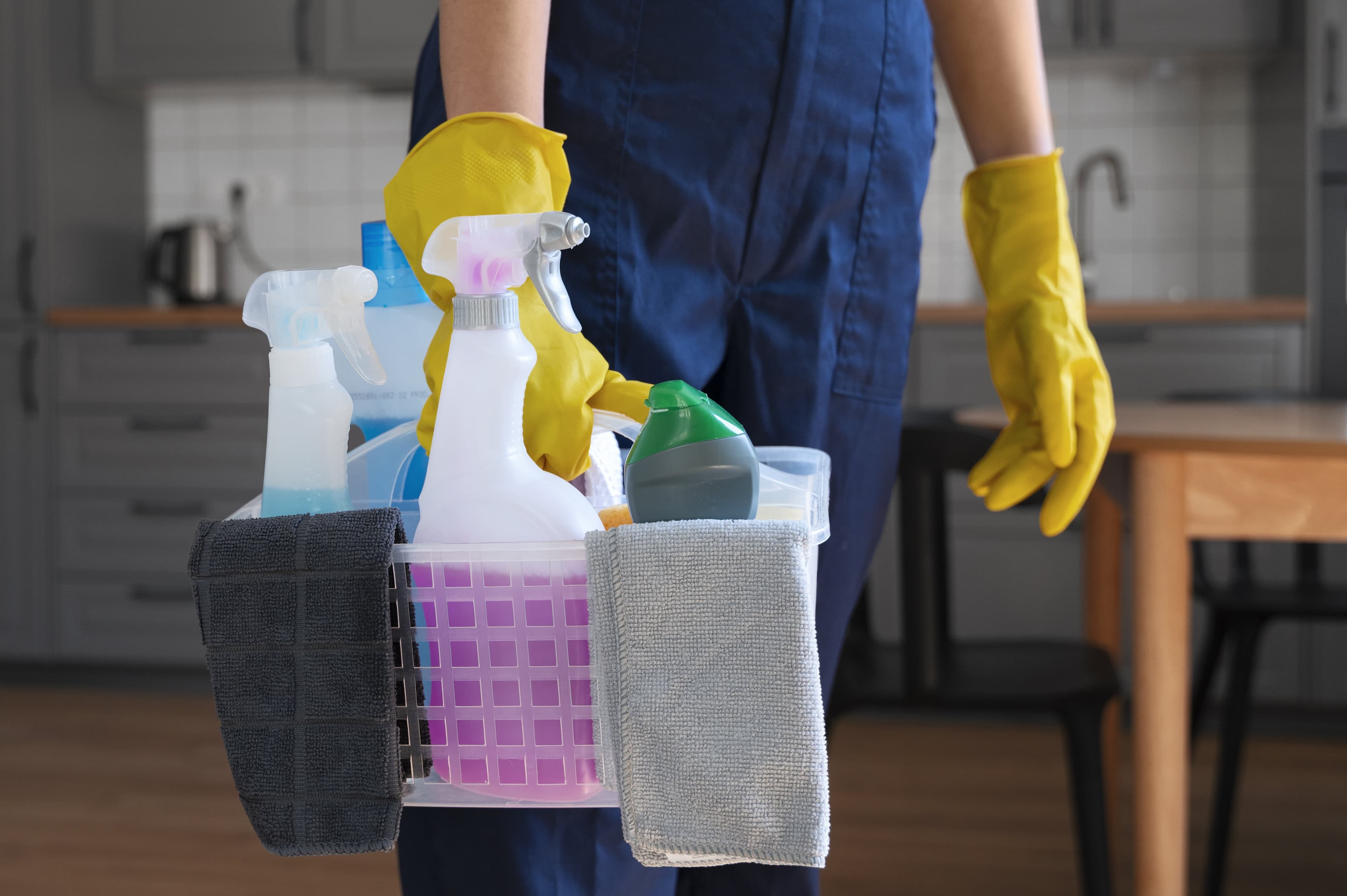 Domestic Cleaning Service